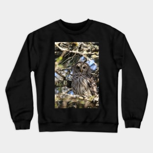 Barred owl beauty Crewneck Sweatshirt